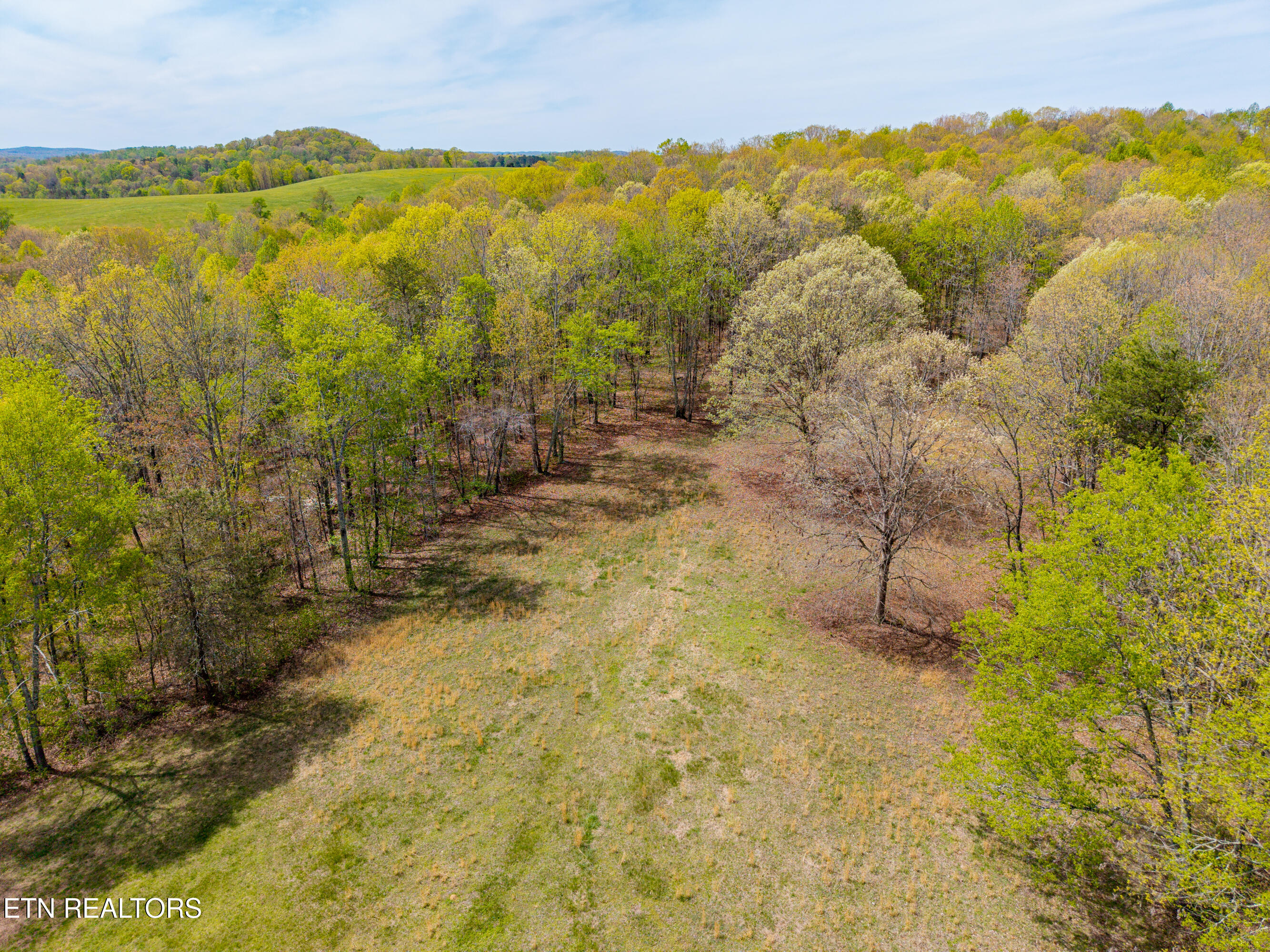 702 Dogwood Valley Road Kingston, TN 37763 - Photo 47 of 47 702DogwoodValleyRd-81