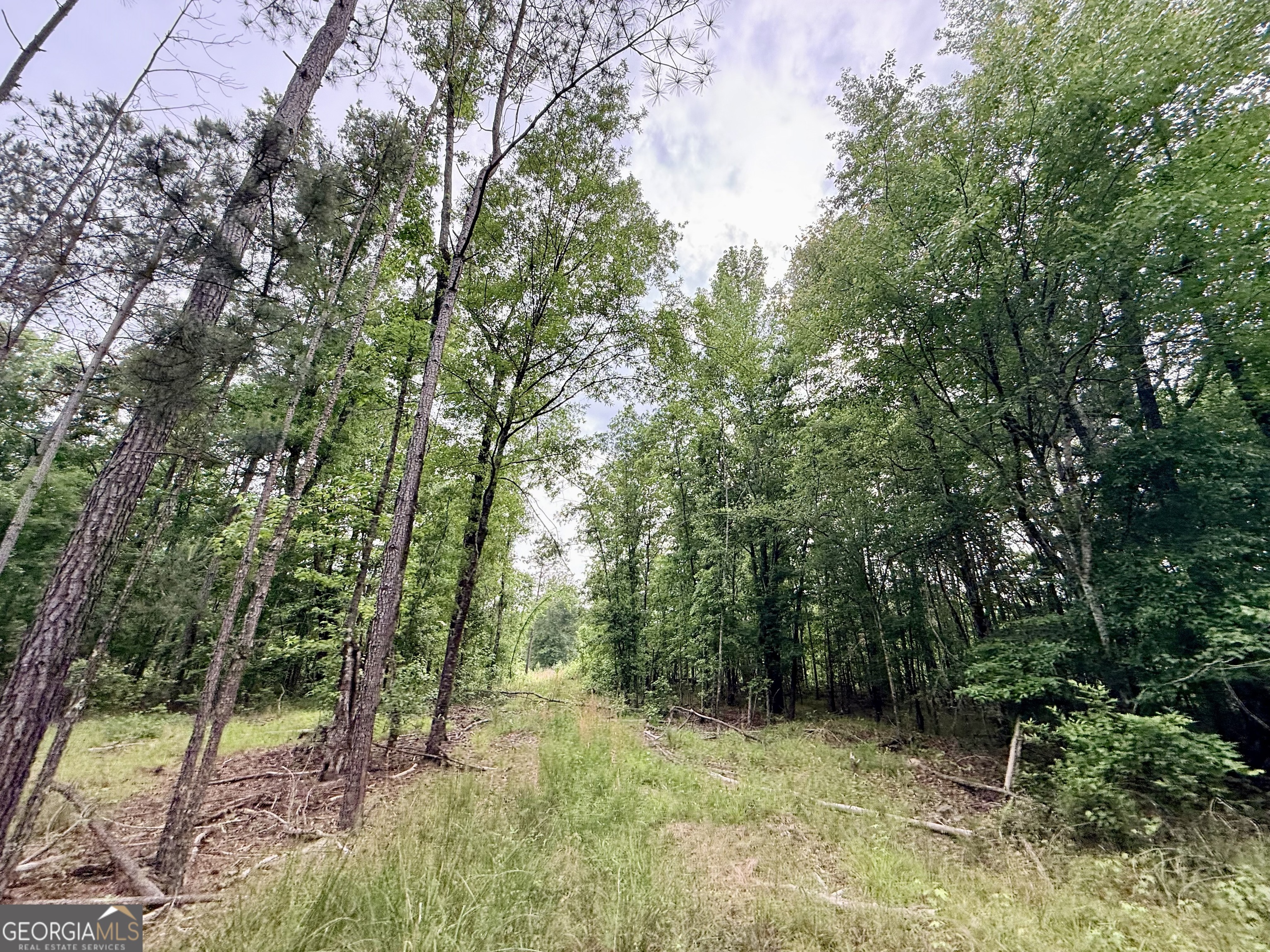 715 Fulsome Creek Road Sparta, GA 31087 - Photo 104 of 117