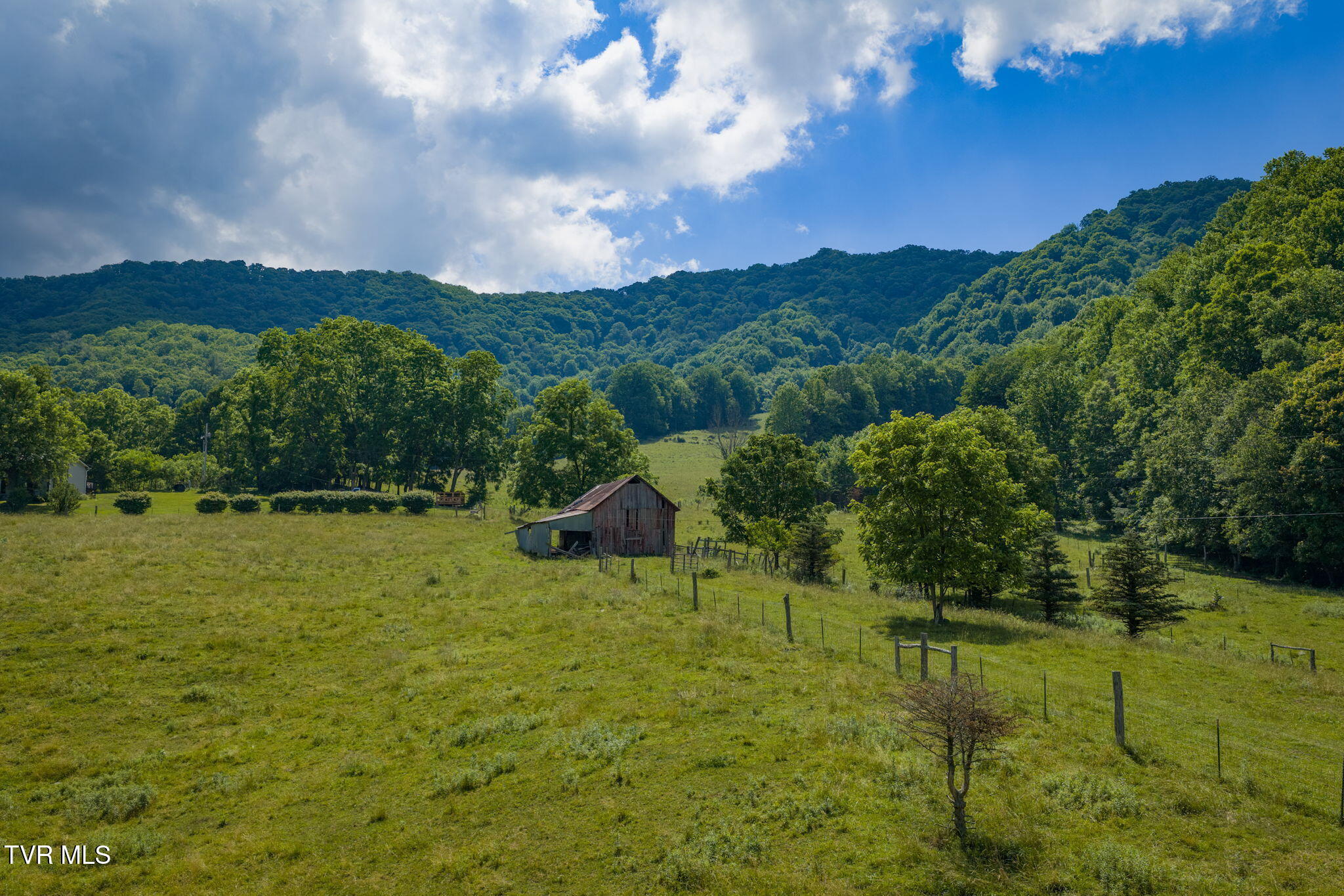 120 Teaberry Road Roan Mountain, TN 37687 - Photo 12 of 56 11-web-or-mls-DJI_20260612111653_0241_D