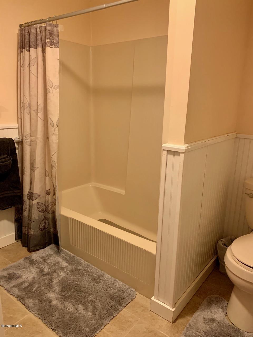 250 Wells Road Becket, MA 01223 - Photo 22 of 34 Bathroom Tub & Toilet - Copy