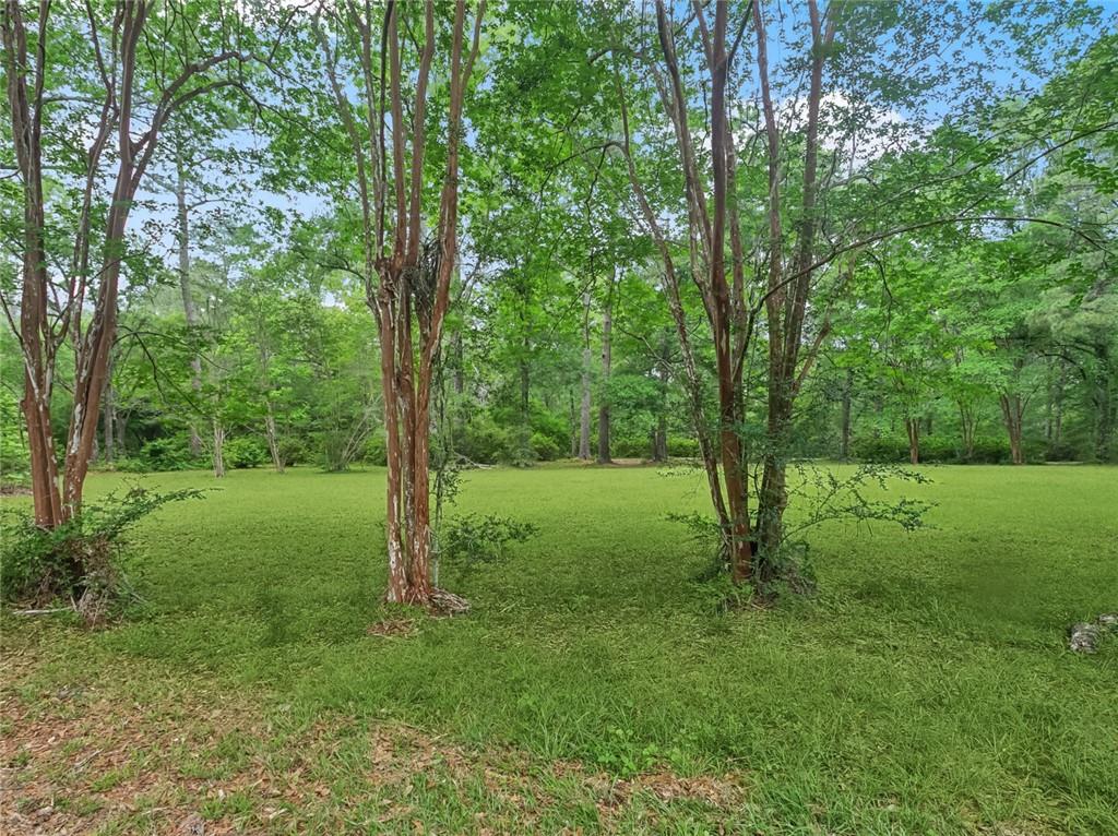 82491 Highway 437 Covington, LA 70435 - Photo 35 of 39