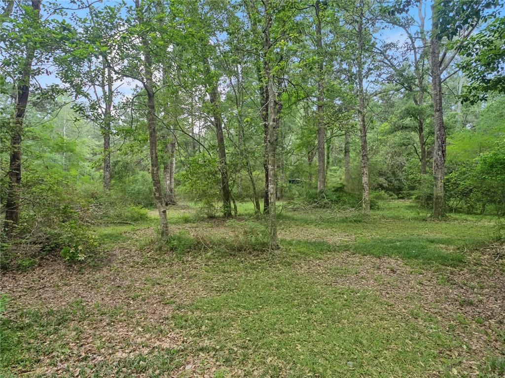 82491 Highway 437 Covington, LA 70435 - Photo 38 of 39