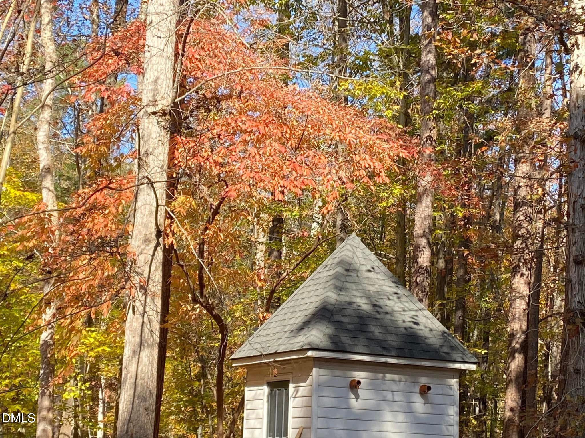4604 Bartwood Drive Raleigh, NC 27613 - Photo 29 of 38 a tall tree in middle of a house