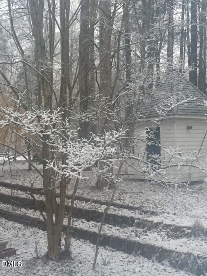 4604 Bartwood Drive Raleigh, NC 27613 - Photo 33 of 38 a view of a yard with lots of trees