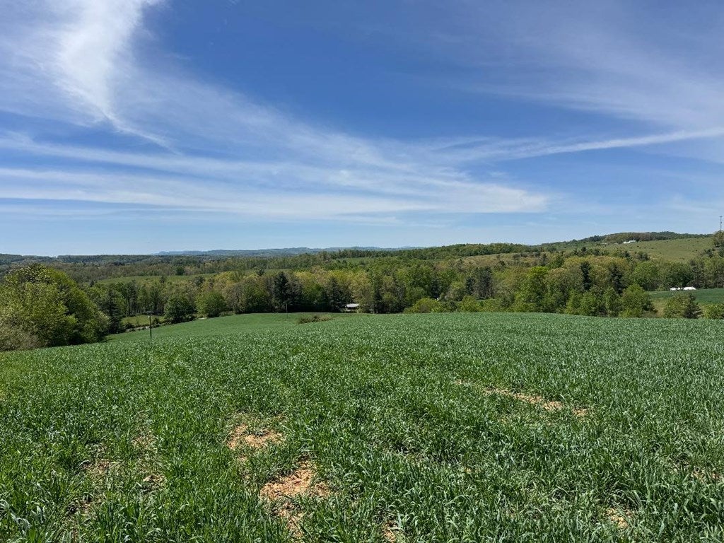 Tbd Bellspur Road Laurel Fork, VA 24352 - Photo 11 of 25 Gallery Image 11
