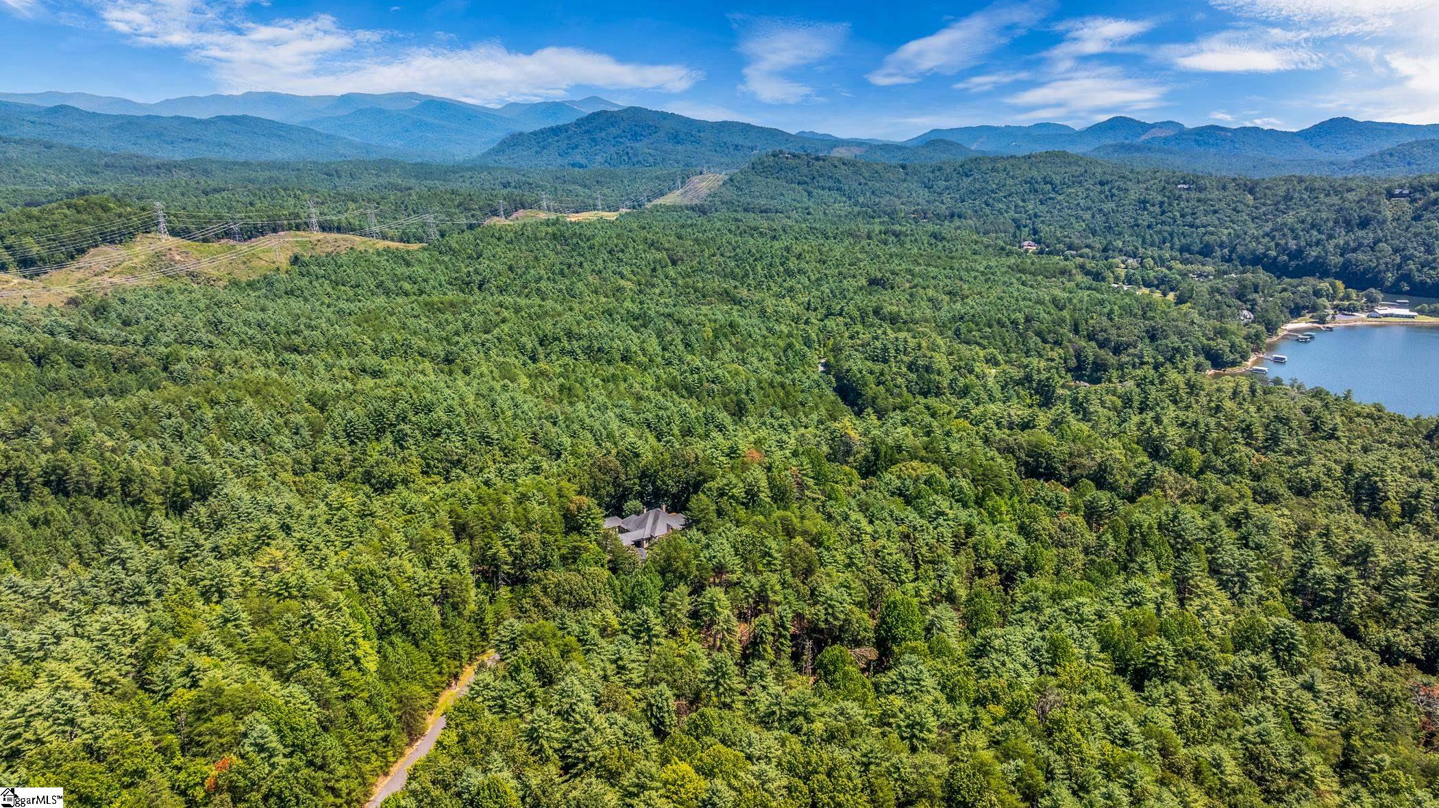 111 Sweetshrub Way Sunset, SC 29685 - Photo 5 of 23