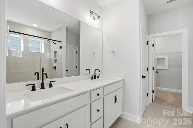 a bathroom with a sink a mirror and a shower