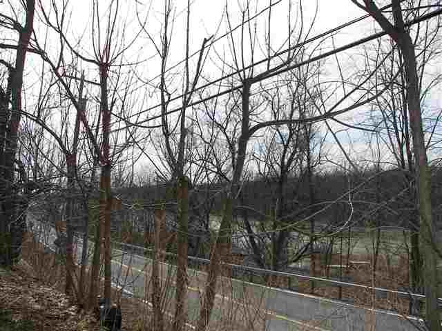366 Knickerbocker Road Schodack, NY 12156 - Photo 3 of 10 Photo 3