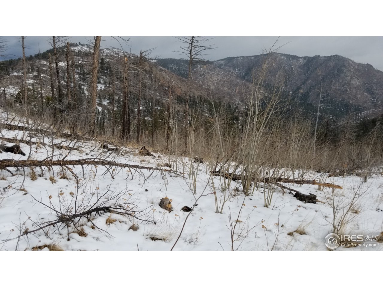 0 Rim Road Boulder, CO 80302 - Photo 3 of 6