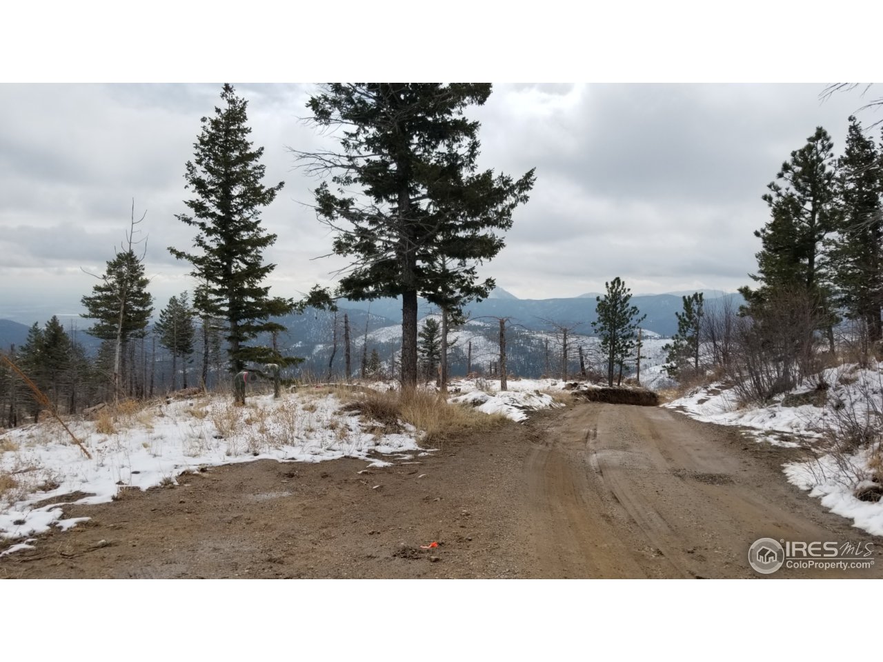 0 Rim Road Boulder, CO 80302 - Photo 5 of 6