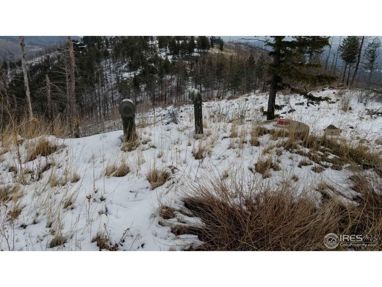 0 Rim Road Boulder, CO 80302 - Photo 6 of 6