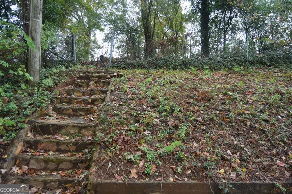 a view of a forest with trees