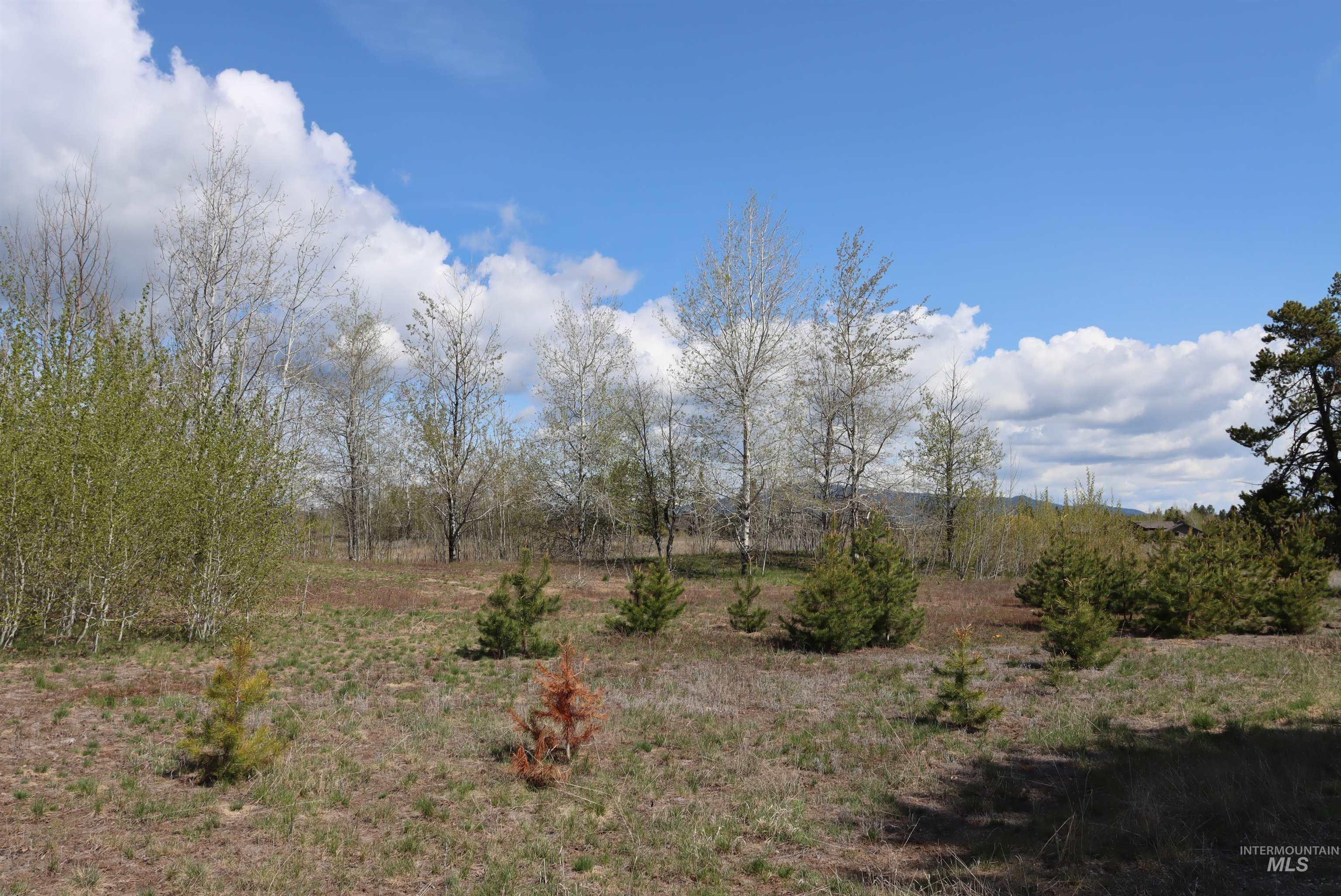 287 Rawhide Loop McCall, ID 83638 - Photo 14 of 45