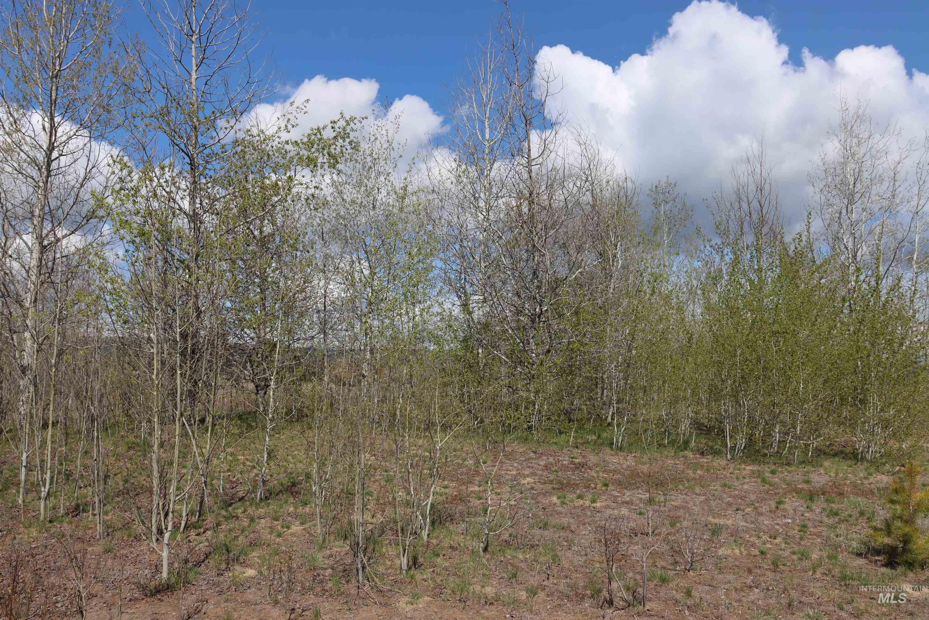 287 Rawhide Loop McCall, ID 83638 - Photo 15 of 45