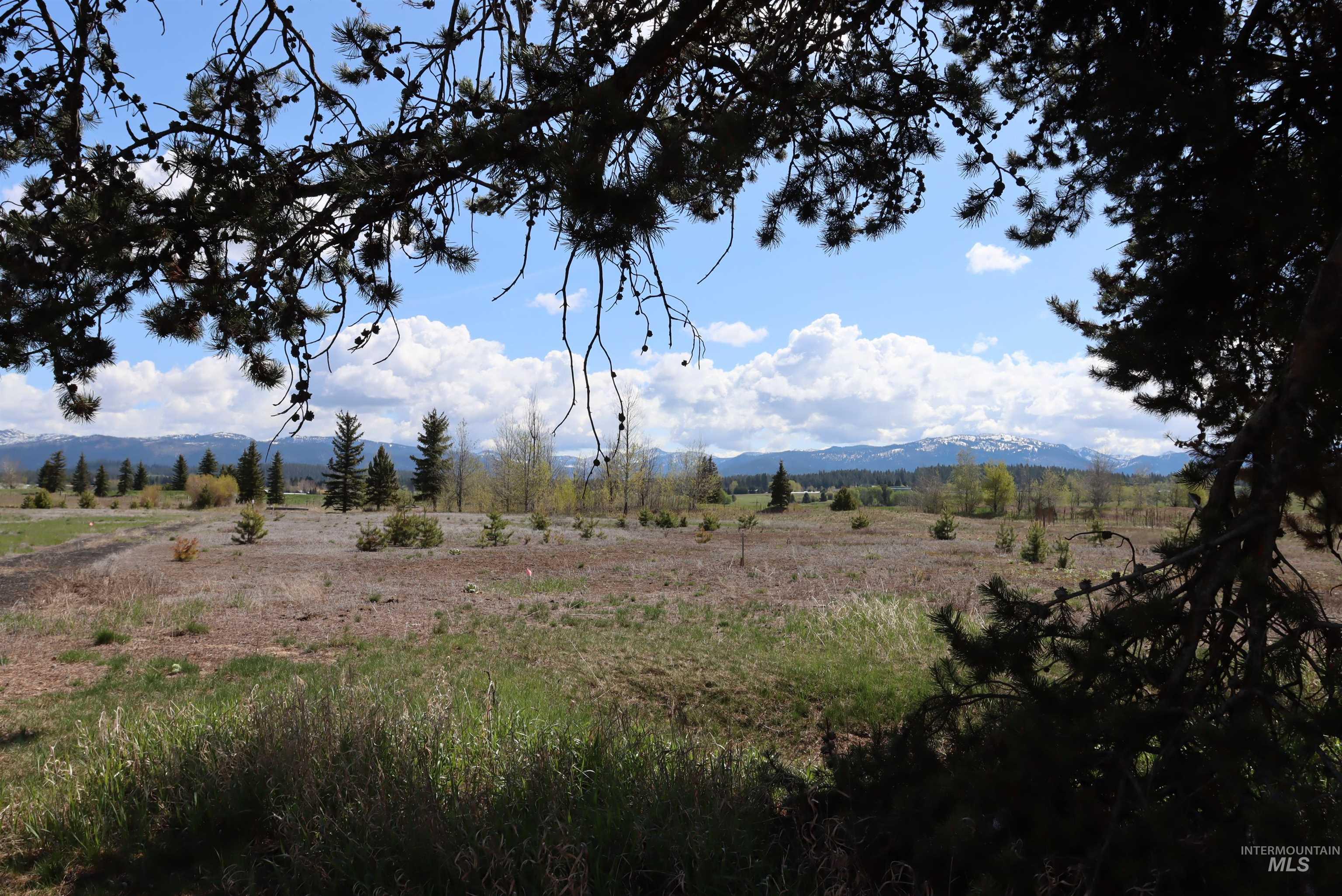 287 Rawhide Loop McCall, ID 83638 - Photo 17 of 45