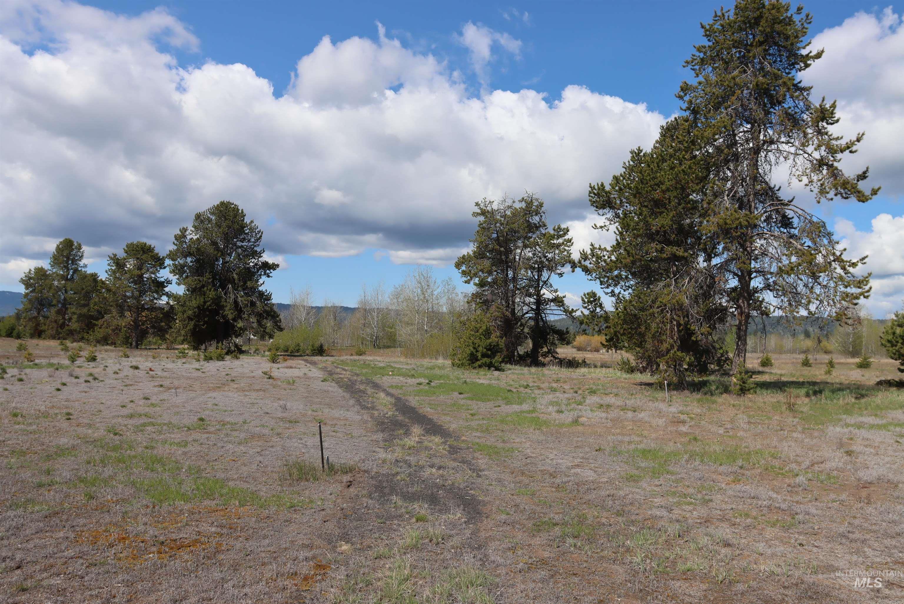 287 Rawhide Loop McCall, ID 83638 - Photo 27 of 45