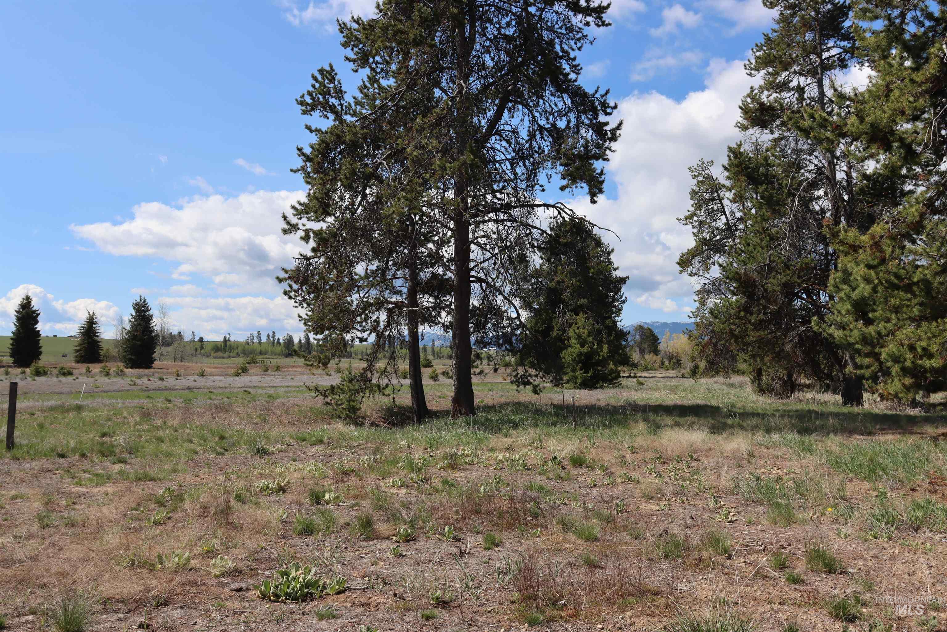 287 Rawhide Loop McCall, ID 83638 - Photo 33 of 45