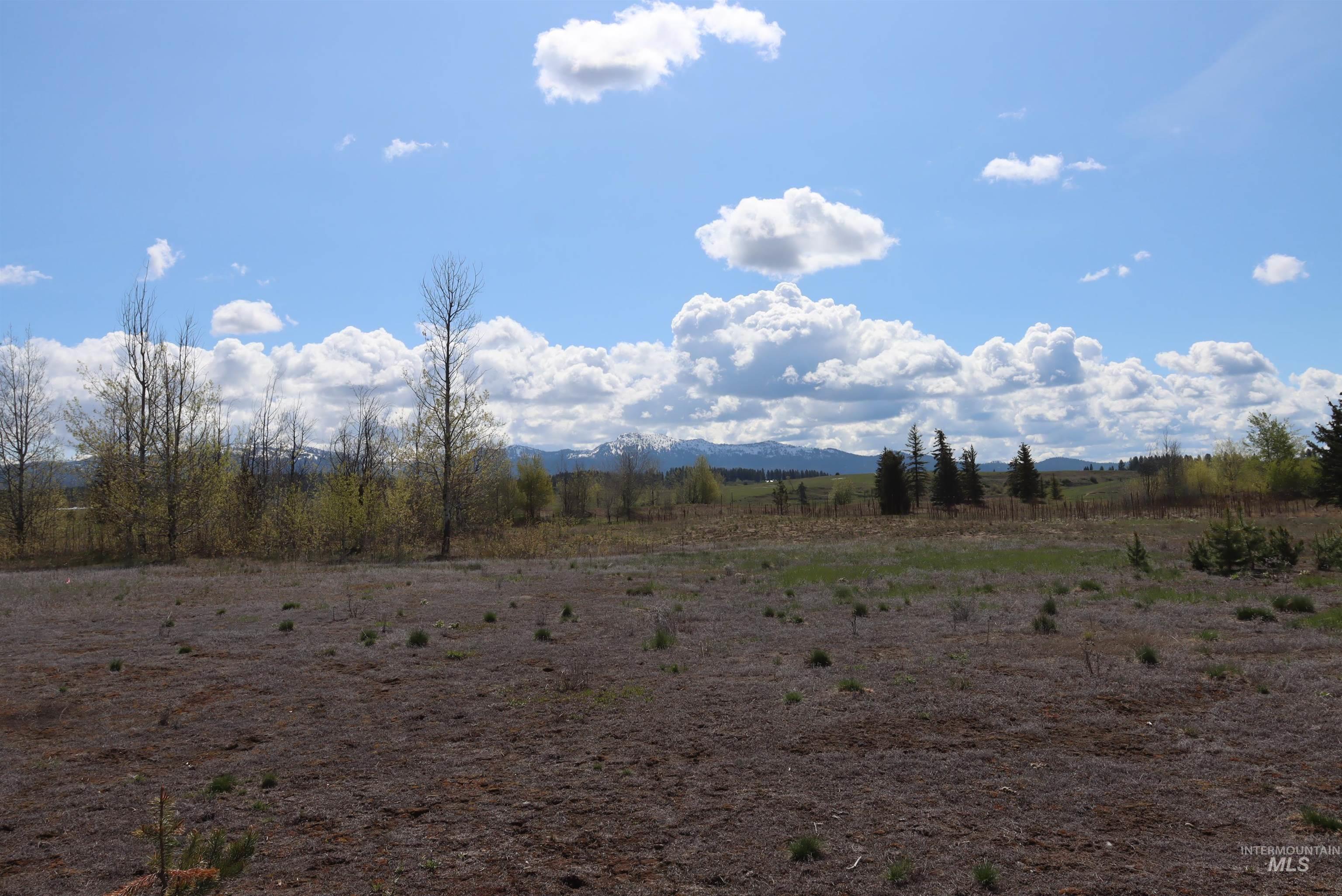 287 Rawhide Loop McCall, ID 83638 - Photo 35 of 45