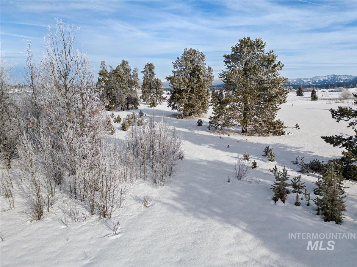 287 Rawhide Loop McCall, ID 83638 - Photo 42 of 45