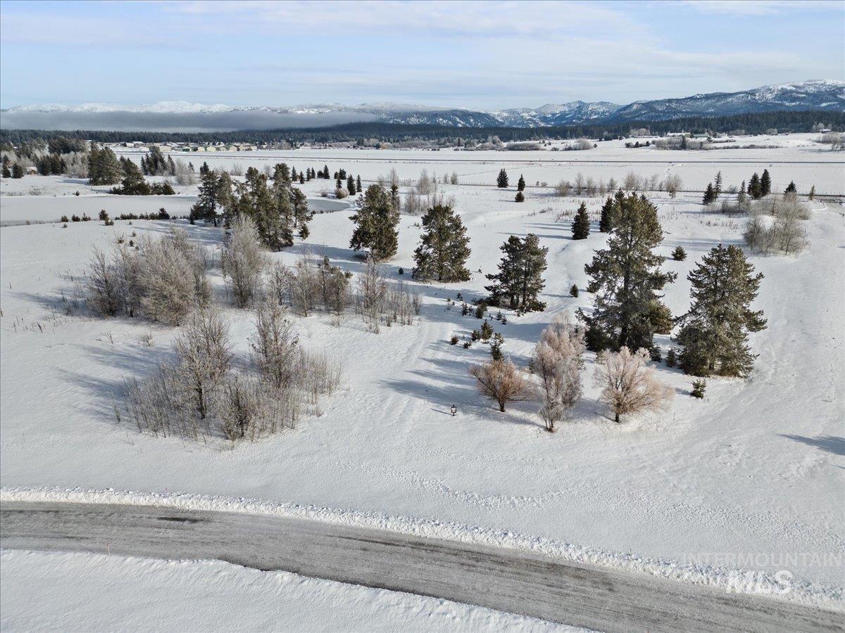 287 Rawhide Loop McCall, ID 83638 - Photo 43 of 45