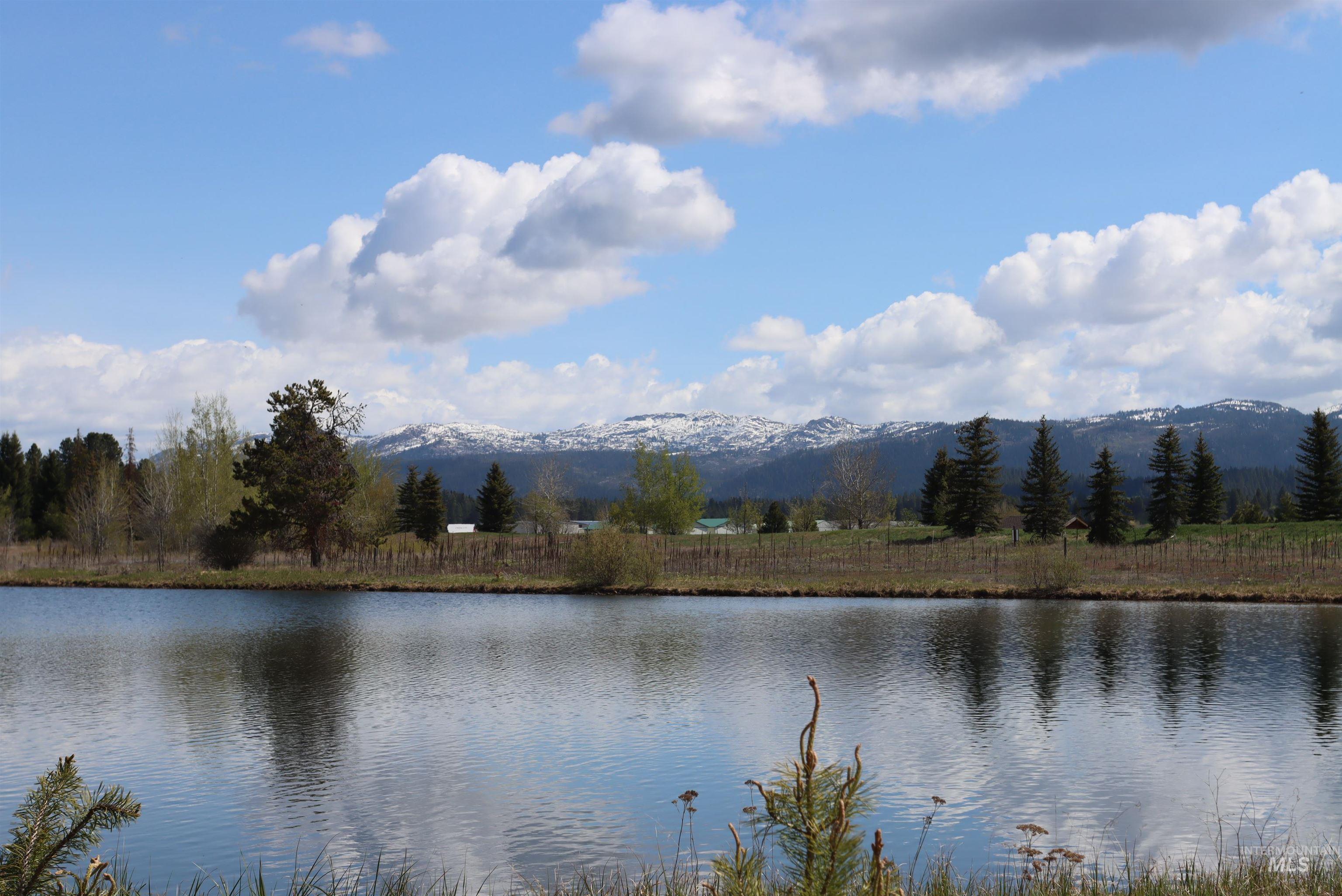 287 Rawhide Loop McCall, ID 83638 - Photo 5 of 45