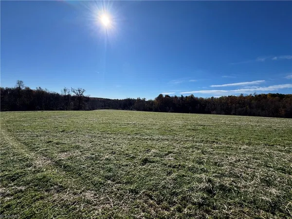 $930,000 | 0 Grover Simmons Road, Dobson, NC 27017