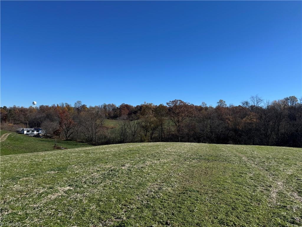 0 Grover Simmons Road Dobson, NC 27017 - Photo 2 of 10