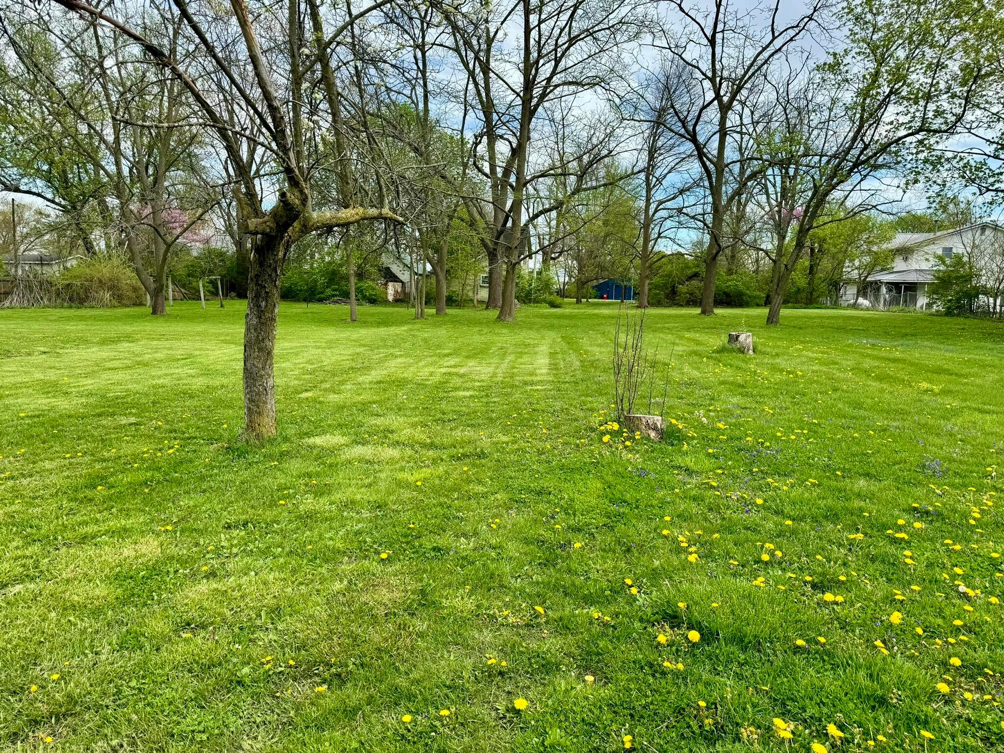 2190 Rosedale Road Irwin, OH 43029 - Photo 41 of 42 Lot view
