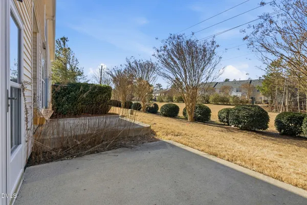 a view of a yard with a street