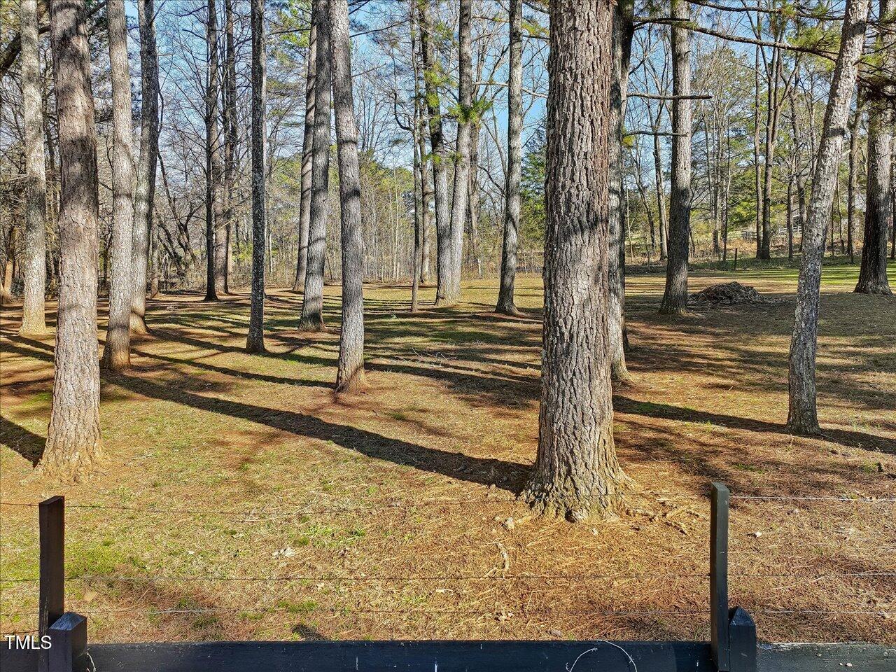 5515 Rives Chapel Church Road Siler City, NC 27344 - Photo 41 of 50 64-Pasture