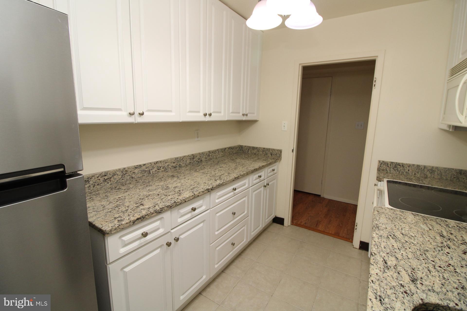9701 Fields Road, Unit 407 Gaithersburg, MD 20878 - Photo 4 of 29 Remodeled Kitchen