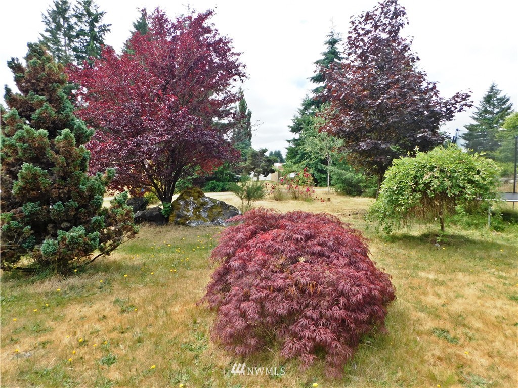17807 Albany Street Southwest Rochester, WA 98579 - Photo 2 of 25