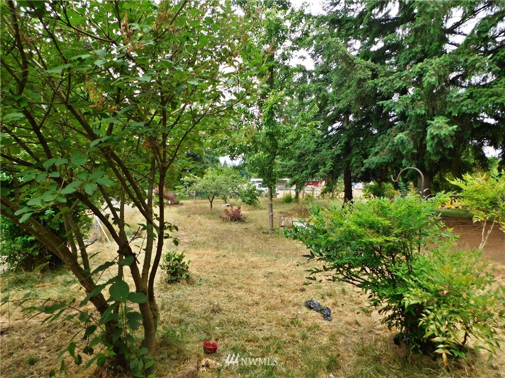 17807 Albany Street Southwest Rochester, WA 98579 - Photo 19 of 25