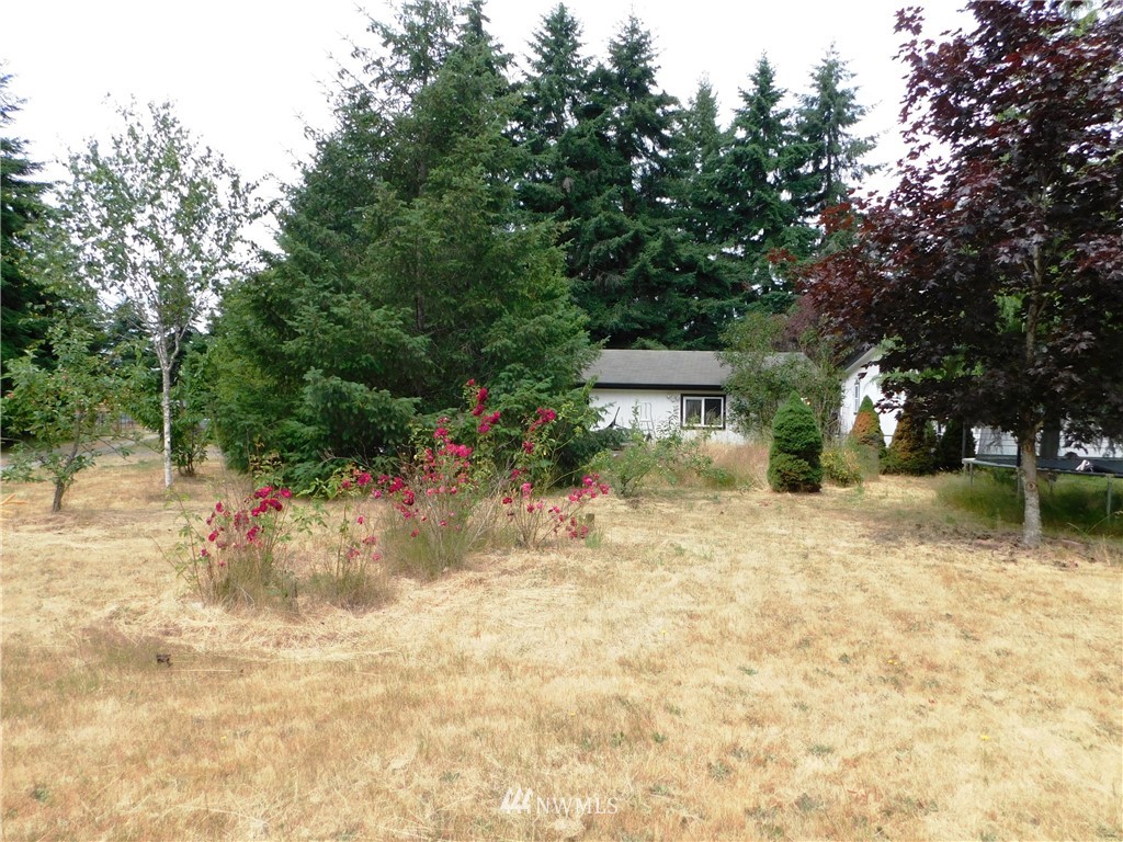 17807 Albany Street Southwest Rochester, WA 98579 - Photo 24 of 25