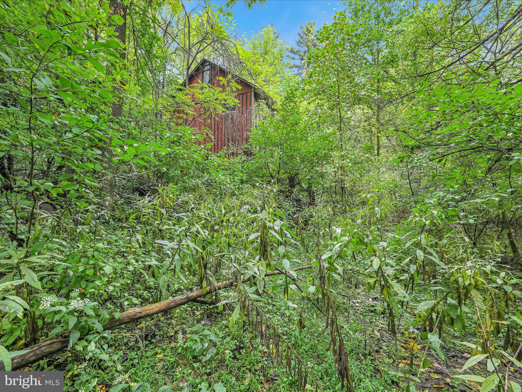 30 Colemanville Road Conestoga, PA 17516 - Photo 11 of 14 Yard