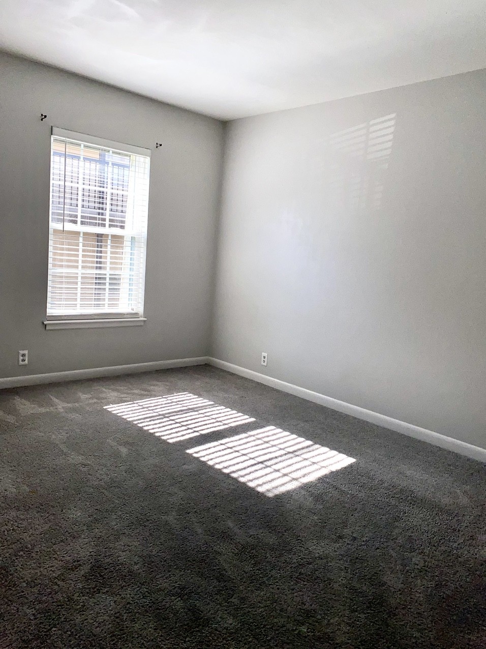 370 Wallace Road, Unit C2 Nashville, TN 37211 - Photo 23 of 28 Gallery Image 23