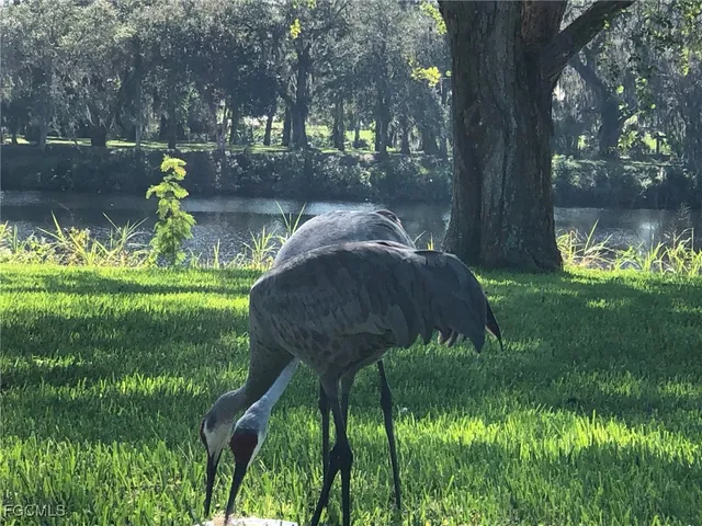 a backyard of a house with lots of green space and fountain