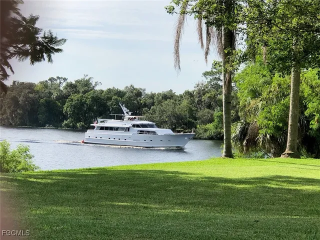 a swimming pool with a garden and trees