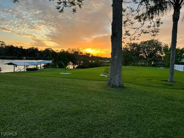 a view of a park with a tree