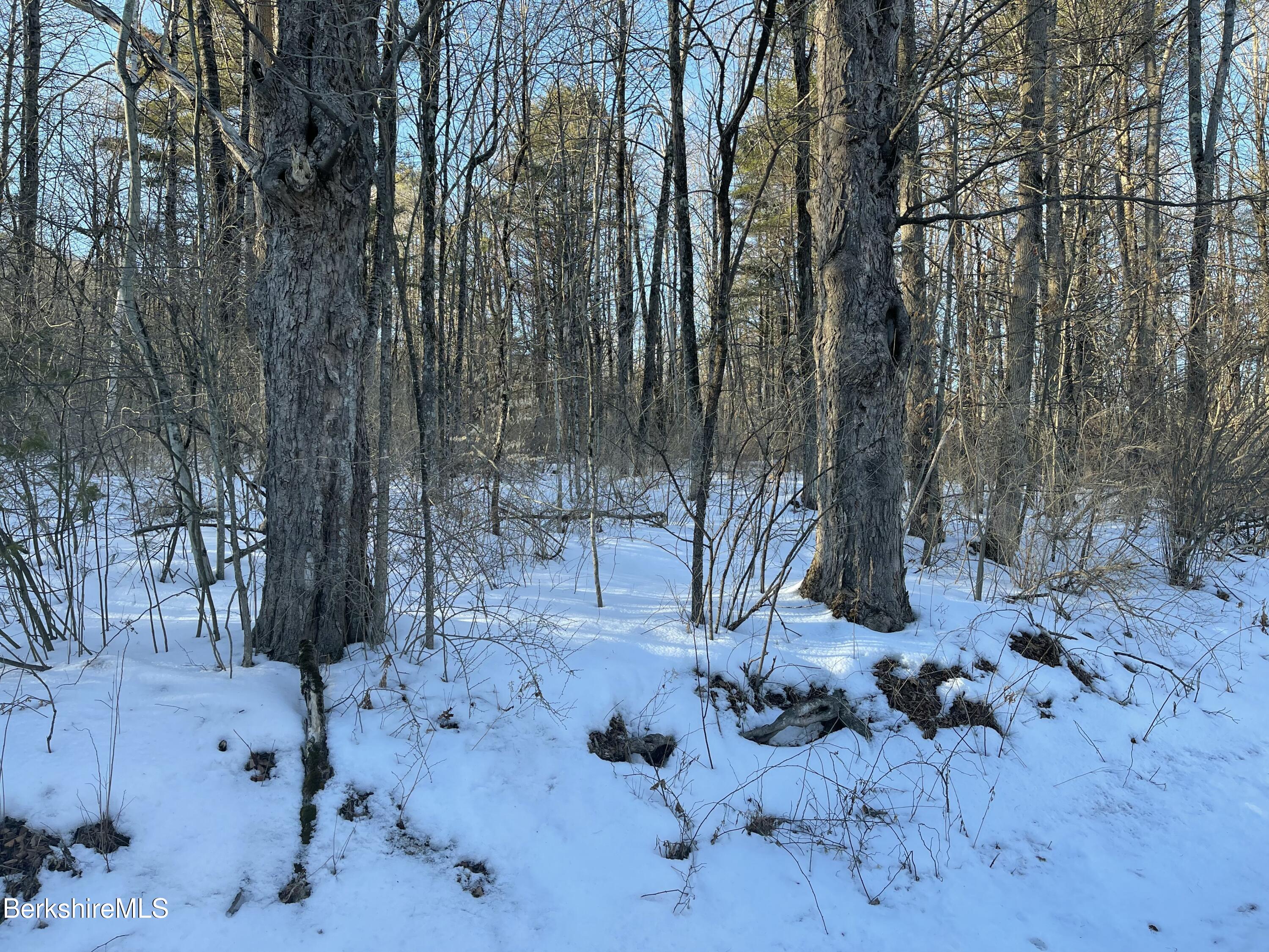 Lot 5-7 Partridge Road Lanesborough, MA 01237 - Photo 11 of 21 IMG_1042 (10)