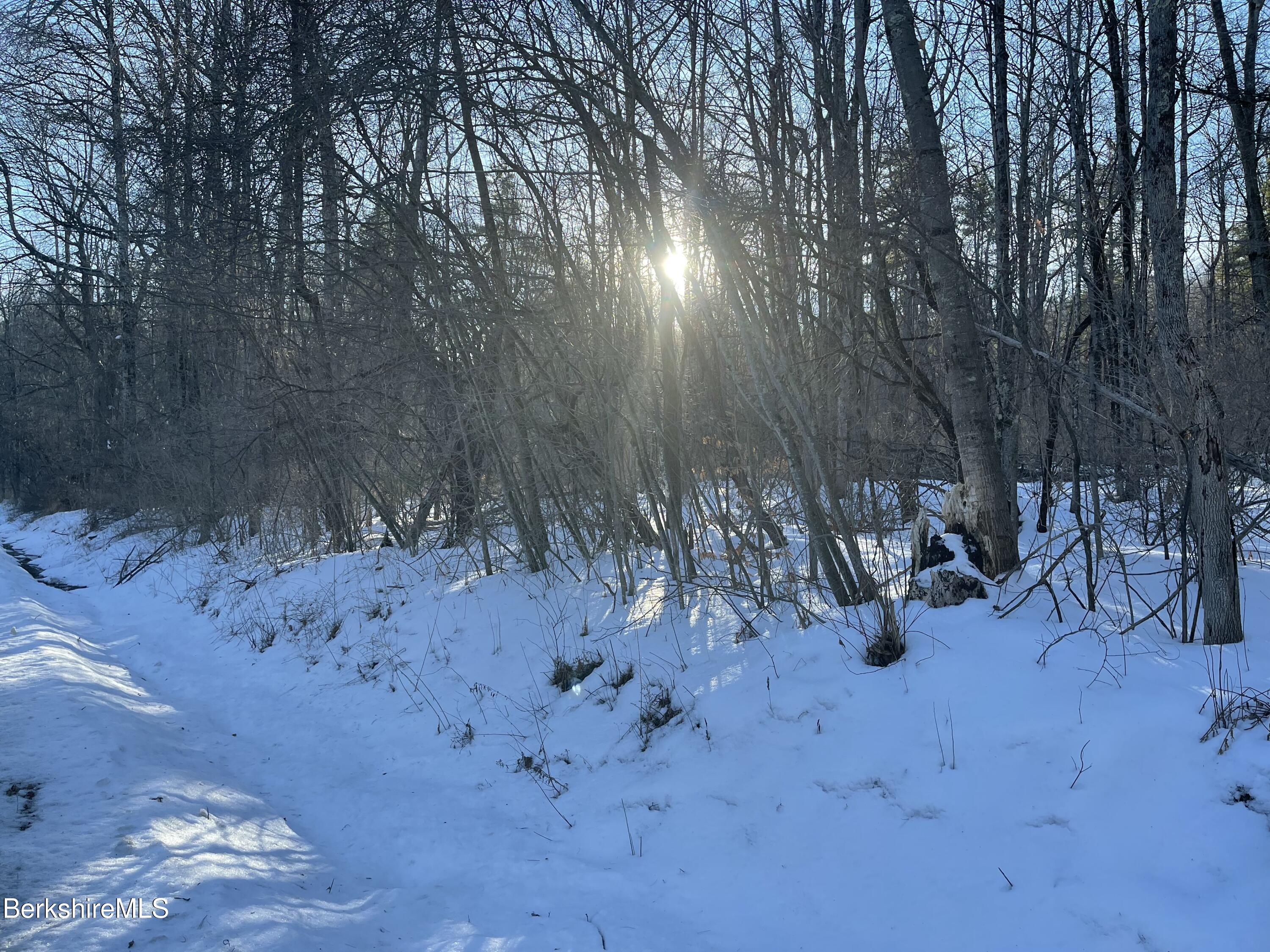 Lot 5-7 Partridge Road Lanesborough, MA 01237 - Photo 12 of 21 IMG_1042 (11)