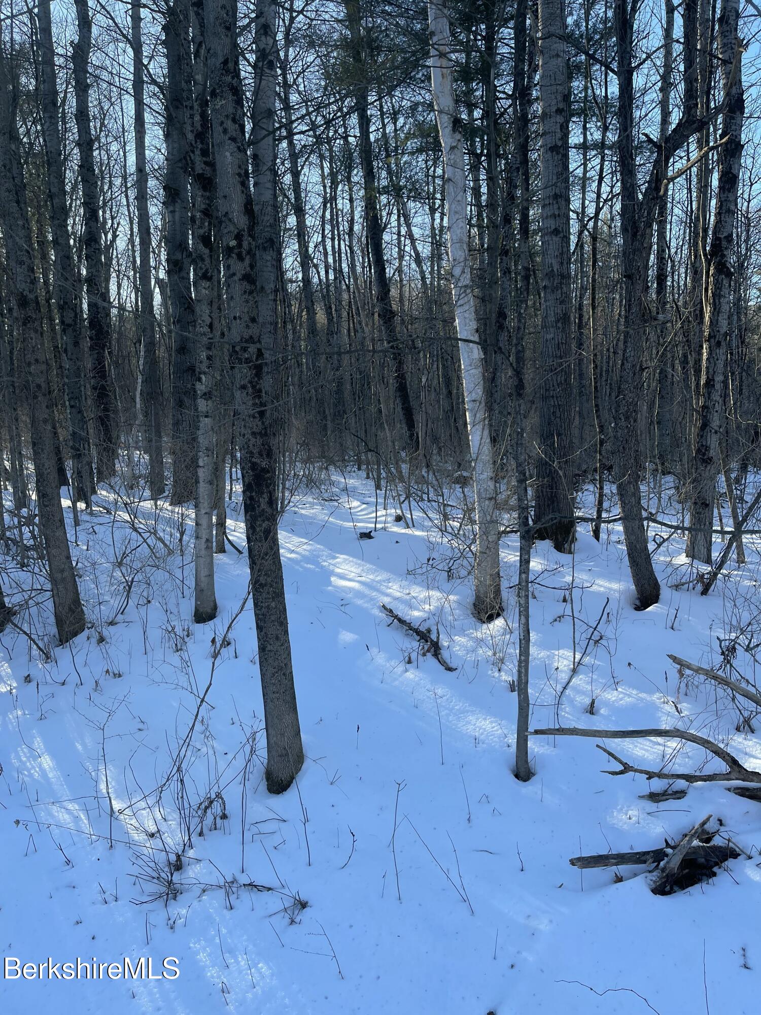 Lot 5-7 Partridge Road Lanesborough, MA 01237 - Photo 15 of 21 IMG_1042 (14)