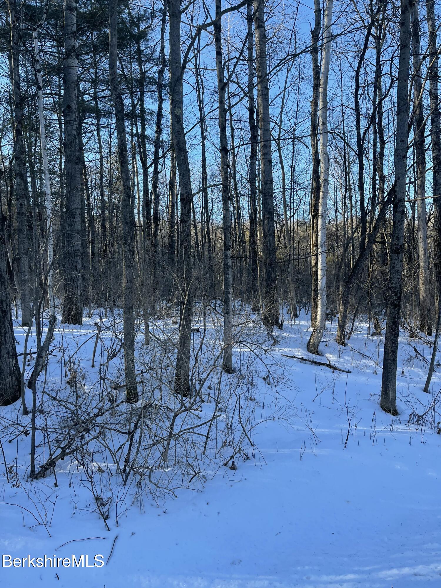 Lot 5-7 Partridge Road Lanesborough, MA 01237 - Photo 16 of 21 IMG_1042 (15)