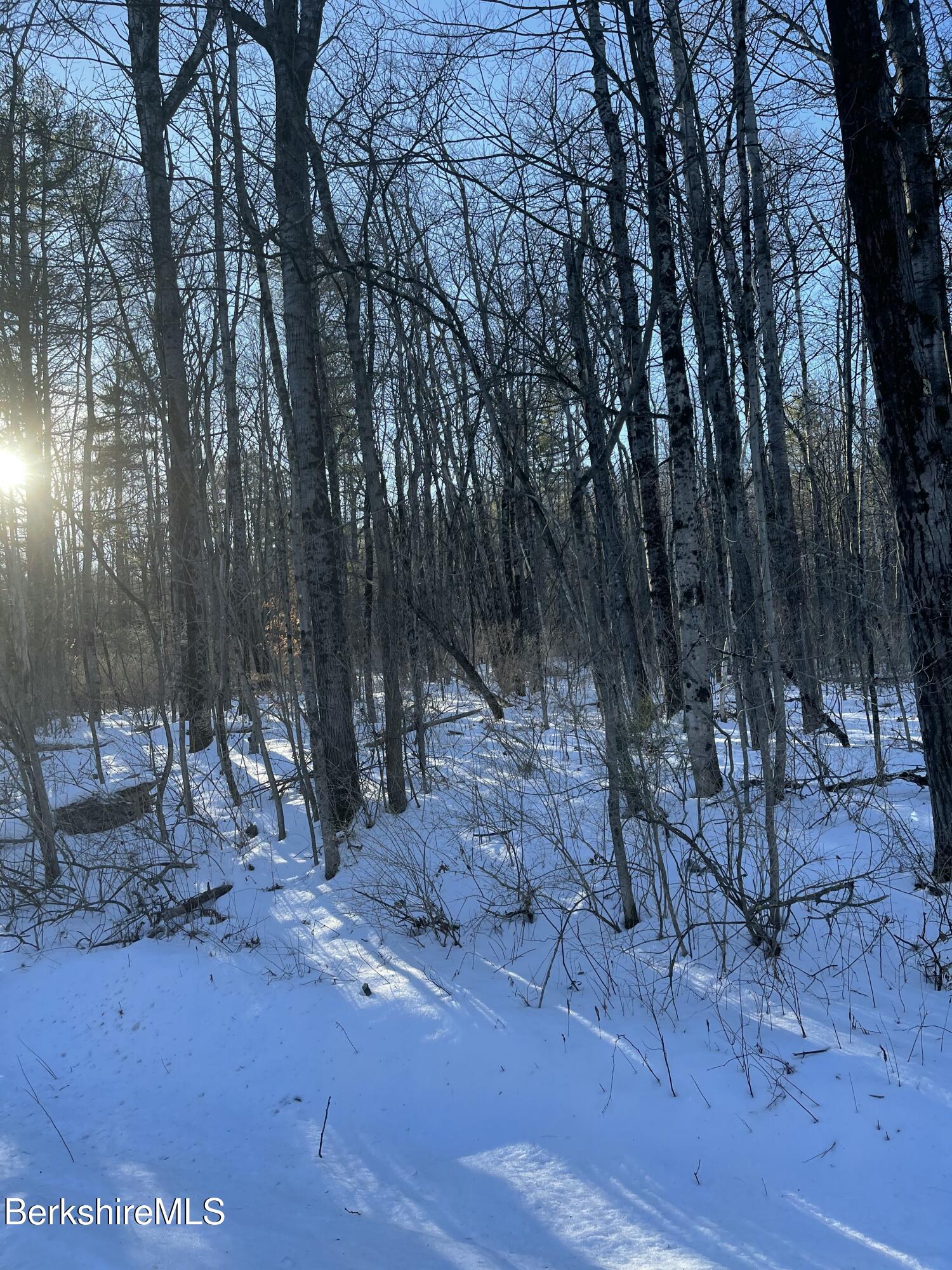 Lot 5-7 Partridge Road Lanesborough, MA 01237 - Photo 17 of 21 IMG_1042 (17)