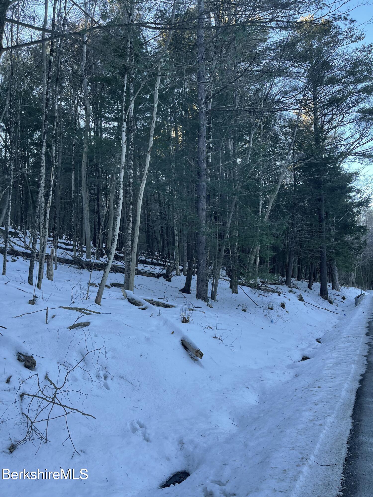 Lot 5-7 Partridge Road Lanesborough, MA 01237 - Photo 19 of 21 IMG_1042 (19)