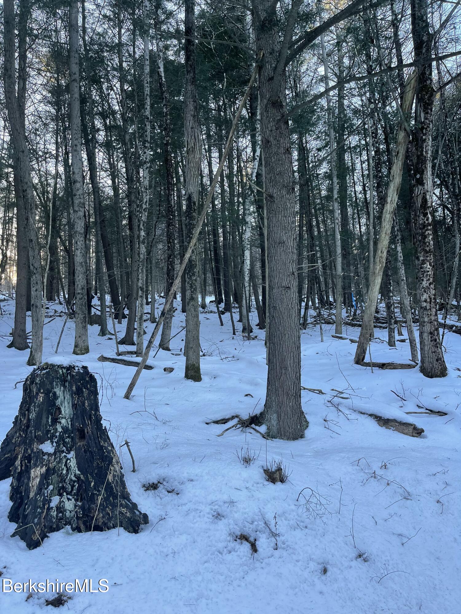 Lot 5-7 Partridge Road Lanesborough, MA 01237 - Photo 20 of 21 IMG_1042 (20)