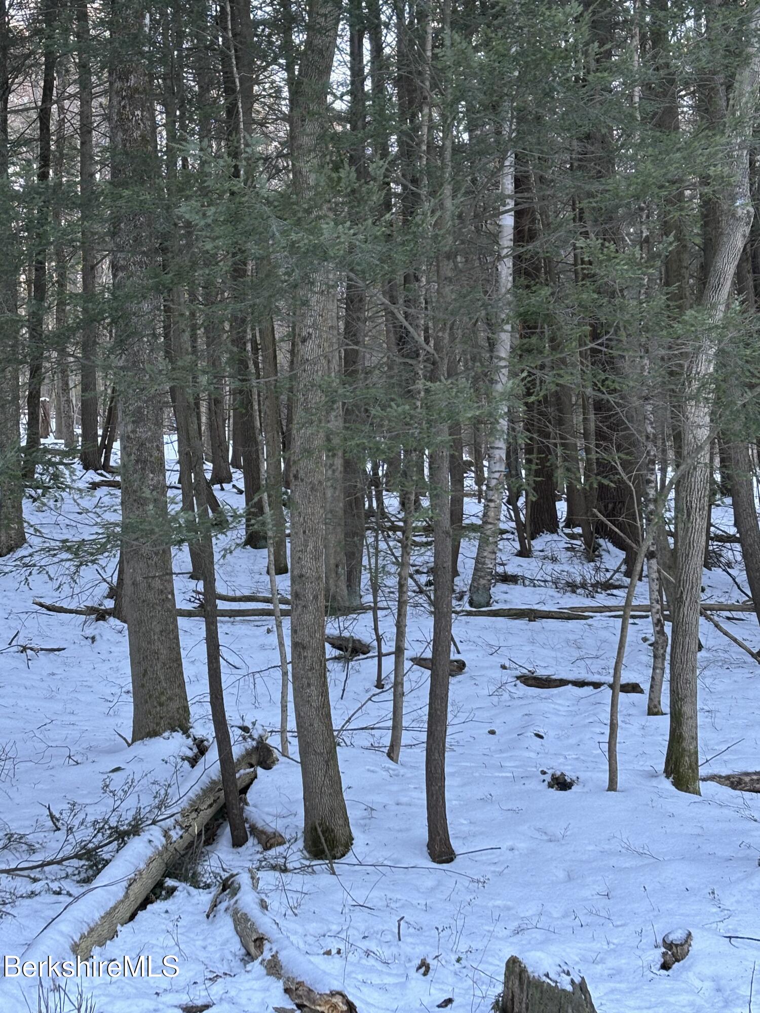 Lot 5-7 Partridge Road Lanesborough, MA 01237 - Photo 2 of 21 IMG_1042 (1)