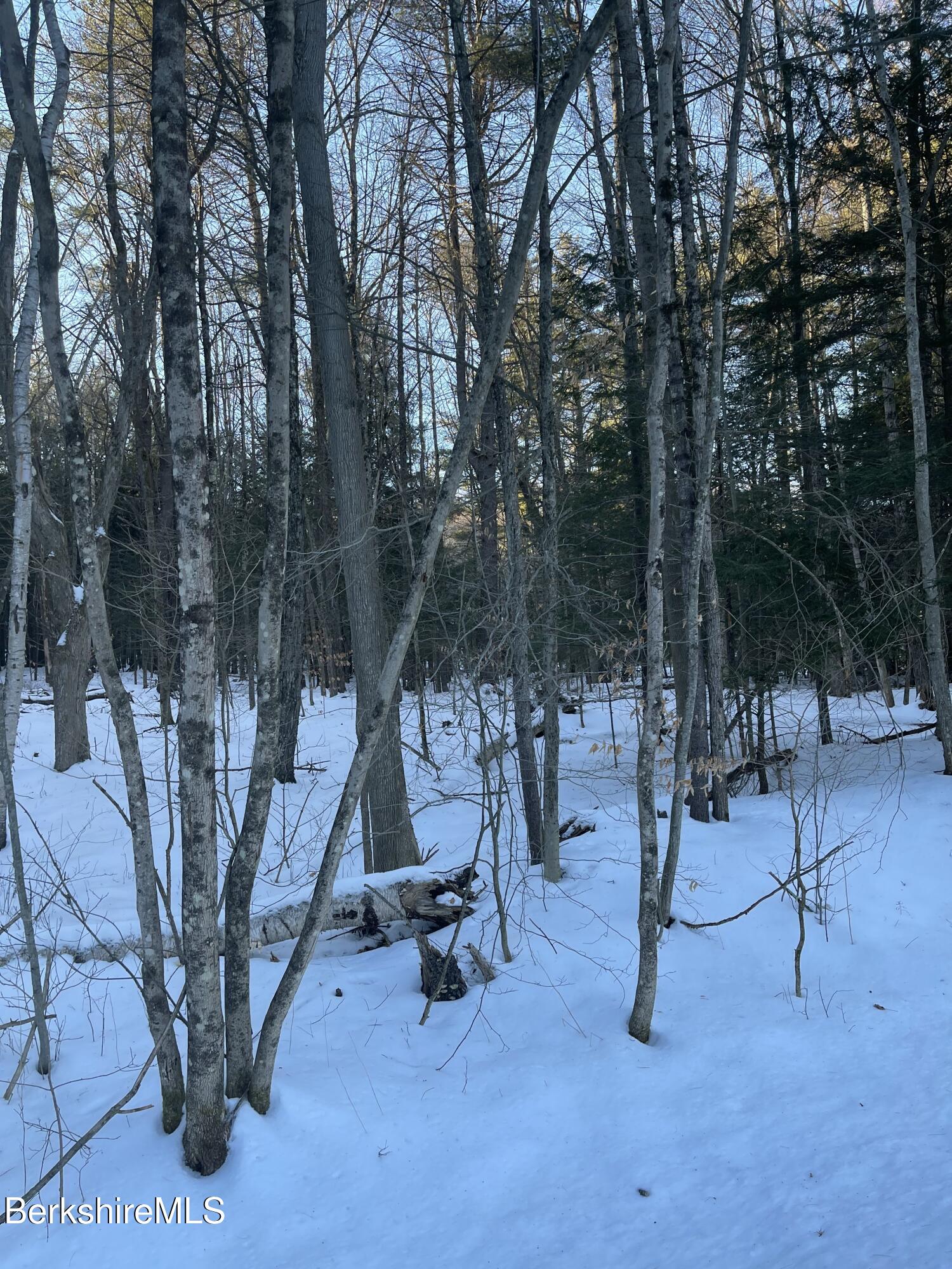 Lot 5-7 Partridge Road Lanesborough, MA 01237 - Photo 6 of 21 IMG_1042 (5)