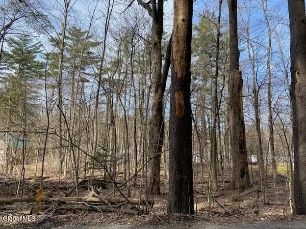 $17,500 | L44 Pillar Way, Fort Ann, NY 12827