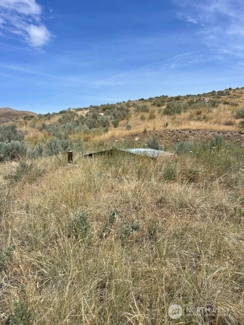 0 Lot 1 Bill Shaw Road Pateros, WA 98846 - Photo 15 of 23